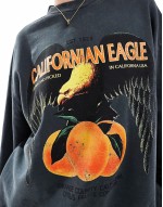 Californ eagle graphic sweatshirt in washed charcoal